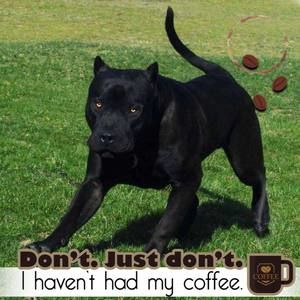 Meet your Posher, Alan