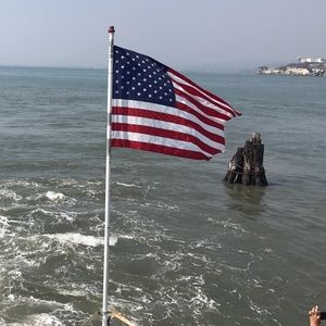 Meet your Posher, Elsa