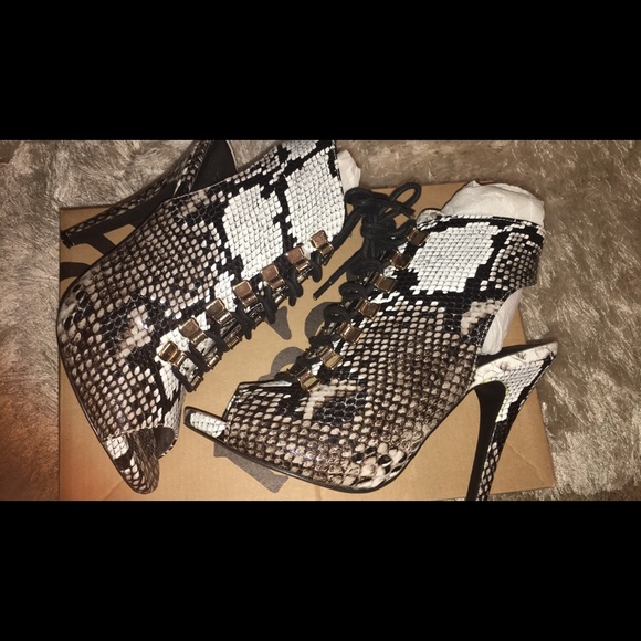 beau+Ashe < Tongela • Snake - Picture 2 of 8