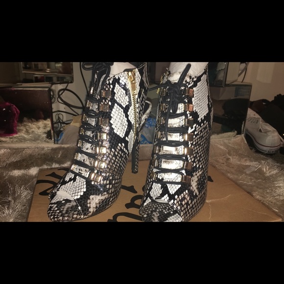 beau+Ashe < Tongela • Snake - Picture 4 of 8