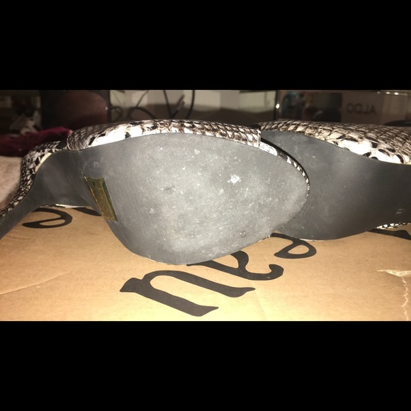 beau+Ashe < Tongela • Snake - Picture 5 of 8