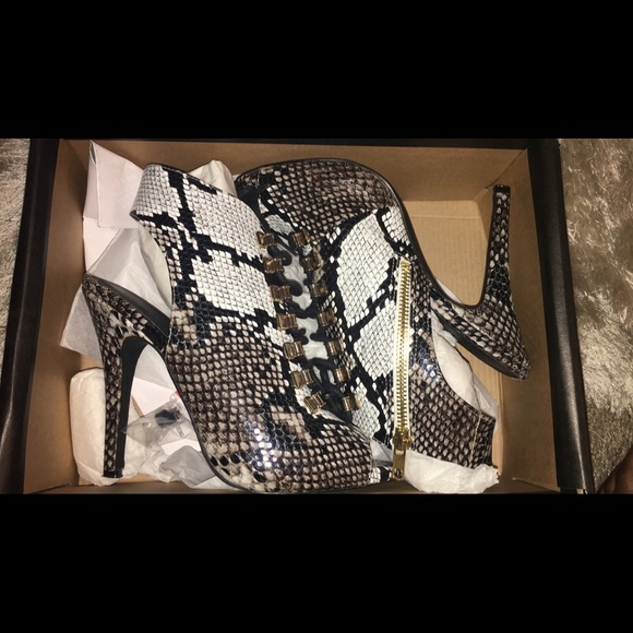 beau+Ashe < Tongela • Snake - Picture 6 of 8