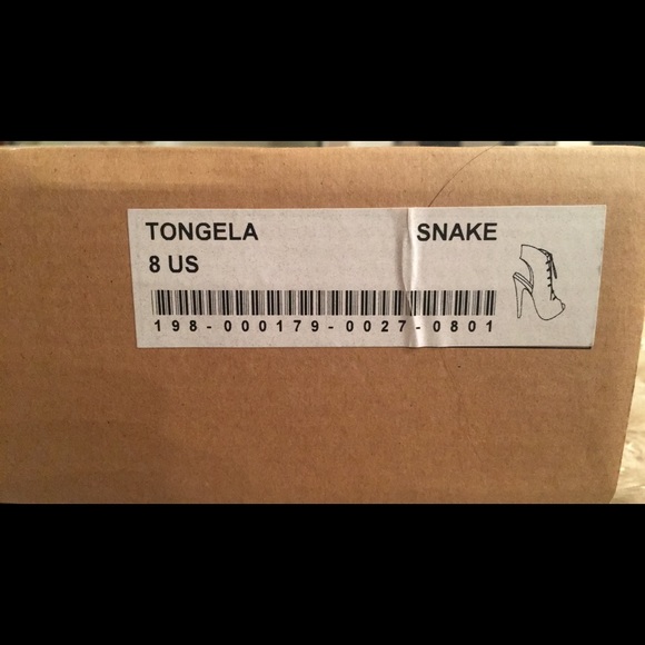 beau+Ashe < Tongela • Snake - Picture 7 of 8