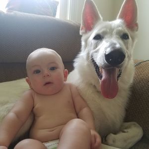 Meet your Posher, Edila