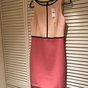 Loft Dress beautiful blush color