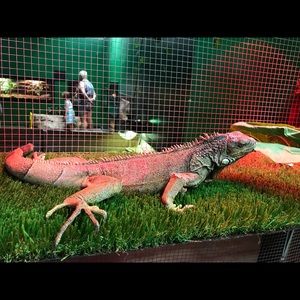 Meet your Posher, Magdalena