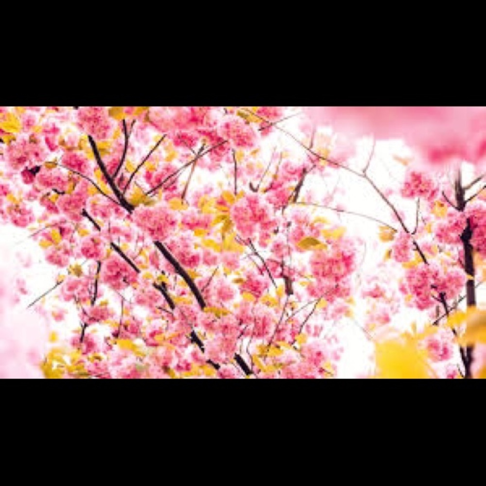 Meet your Posher, Joanna