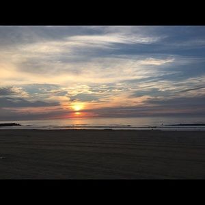 Meet your Posher, Ally