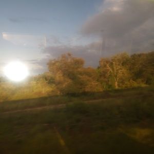 Meet your Posher, Desiree