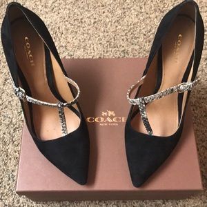 Mink gray/black Coach shoes