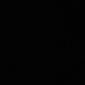 Meet your Posher, Moises