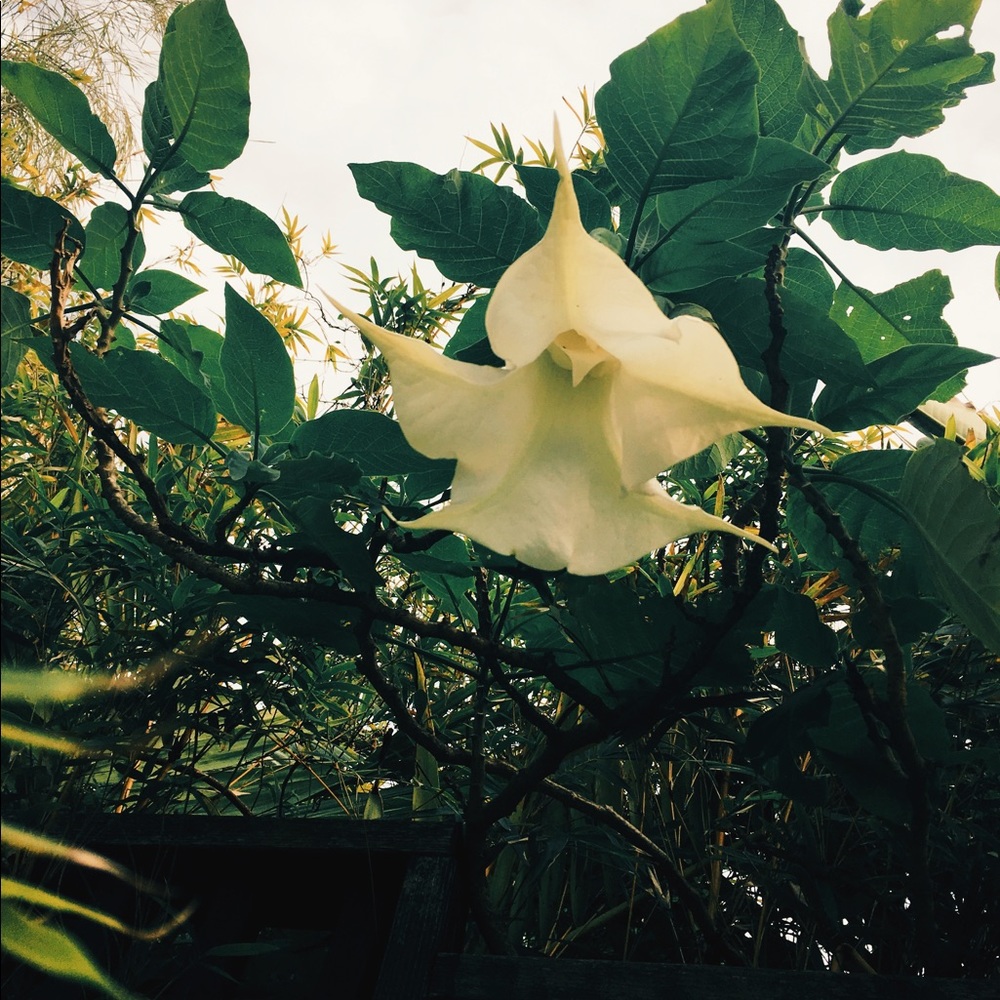 Clothes, shoes, Make up and more!!!