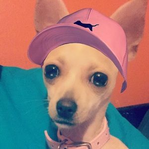 Meet your Posher, Crystal