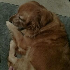 Meet your Posher, Jamie