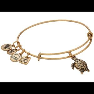 Alex and Ani bracelet