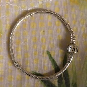 Pandora iconic classic charm bracelet
