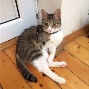 Meet your Posher, Mina