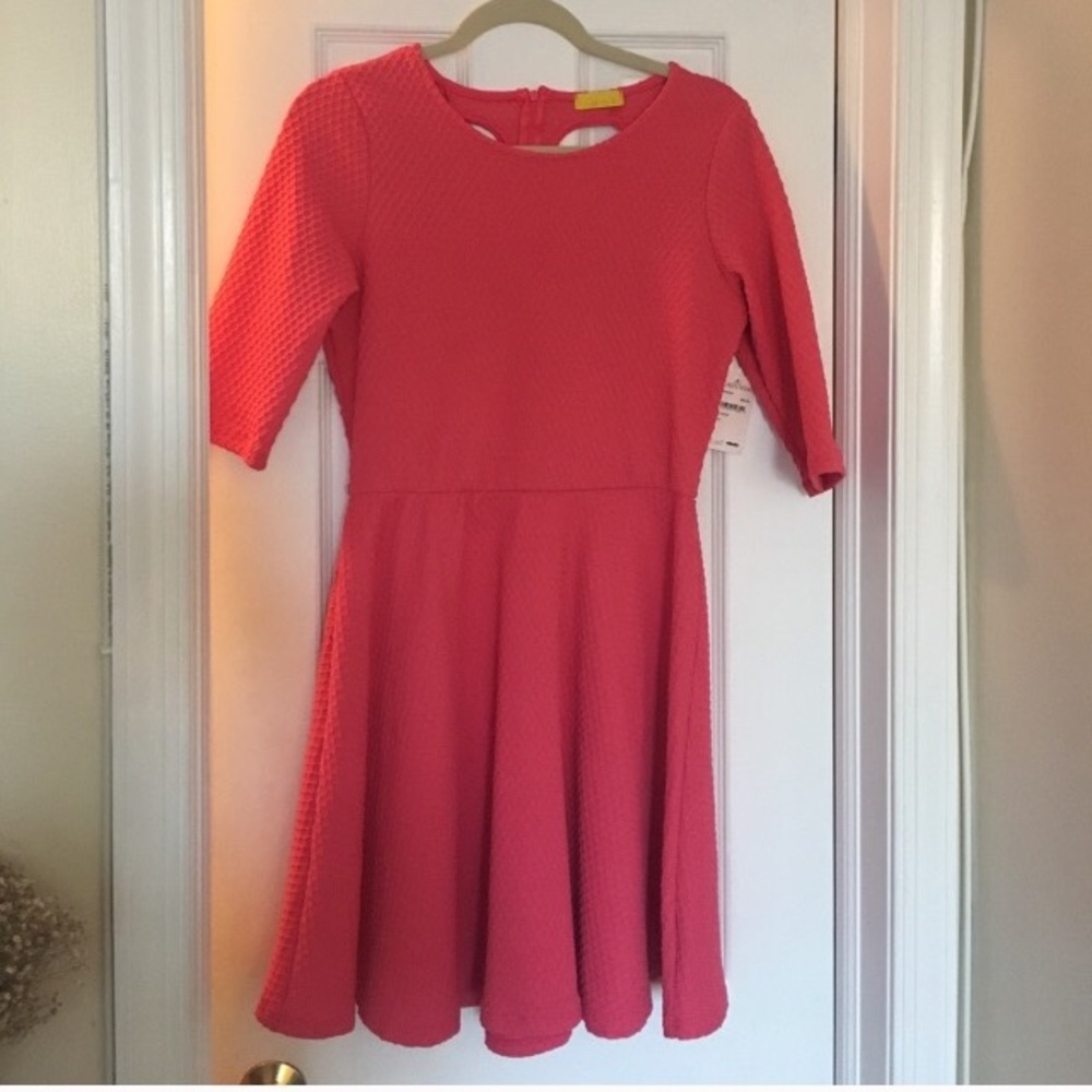 NWT Nordstrom dress.