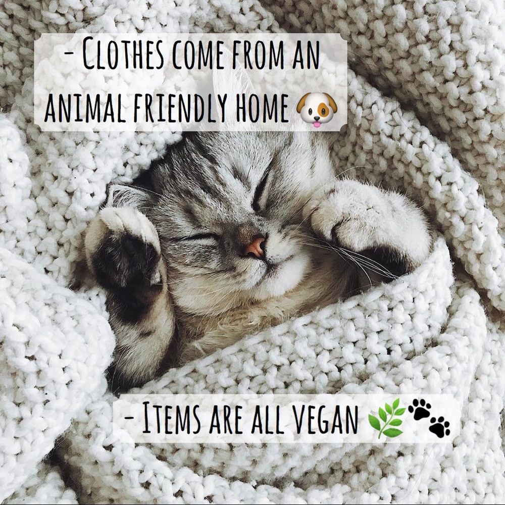 ❄️ • INFO • ❄️ - Picture 7 of 7