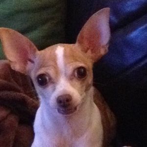 Meet your Posher, Marcela