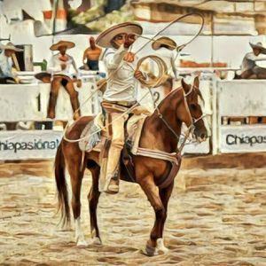 Meet your Posher, Peter