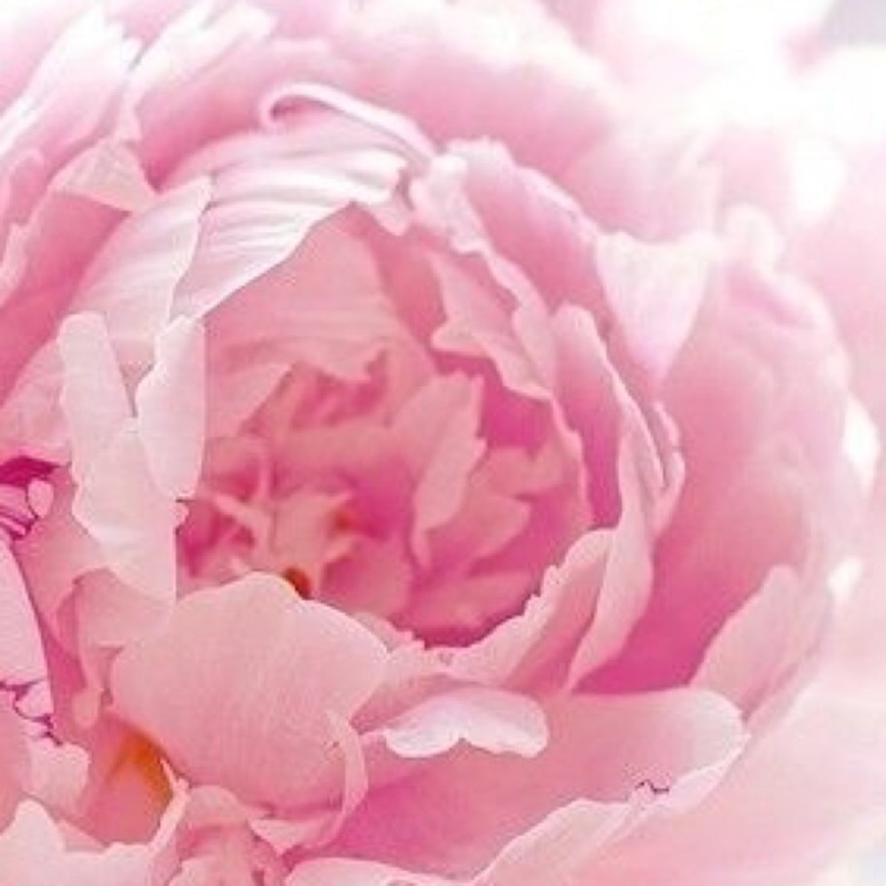 Meet your Posher, Bernadette