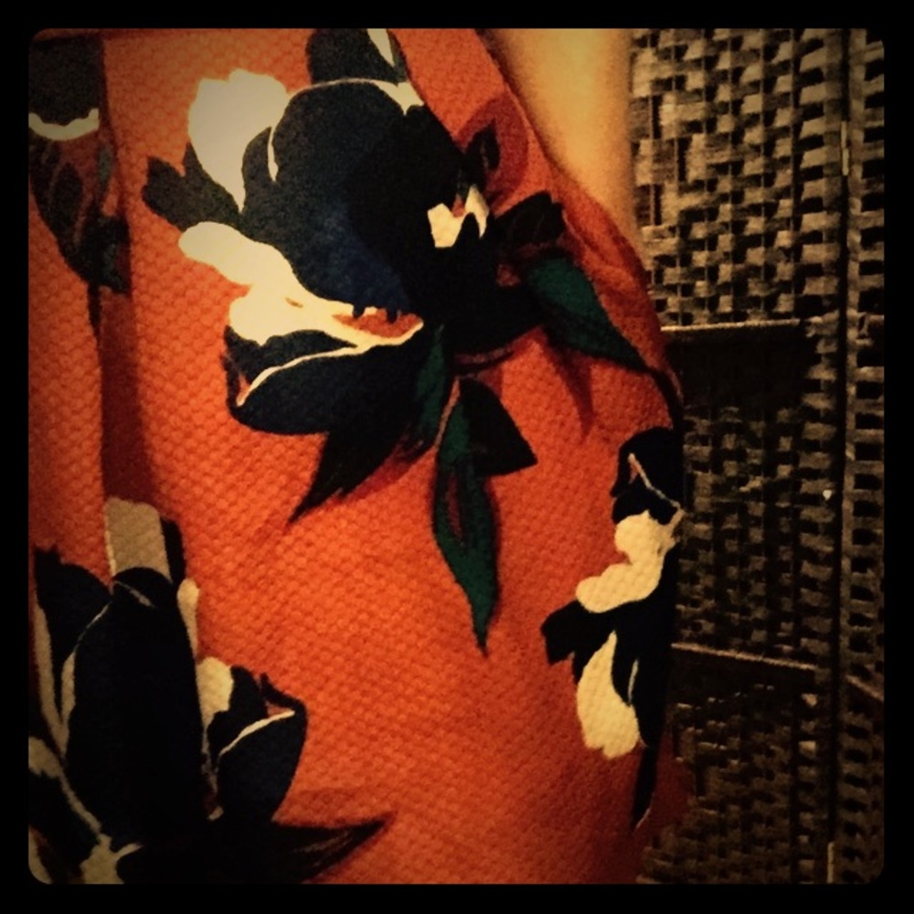 ANTHROPOLOGIE Maira floral skirt.