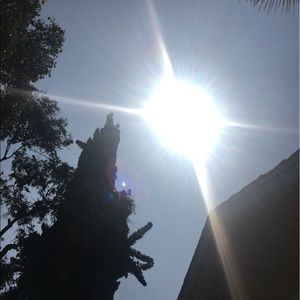 Meet your Posher, Patty