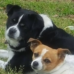 Meet your Posher, Linda