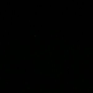 Meet your Posher, Juliana