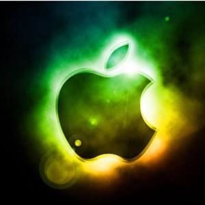 Meet your Posher, Derek