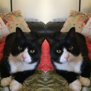 Meet your Posher, Marcie