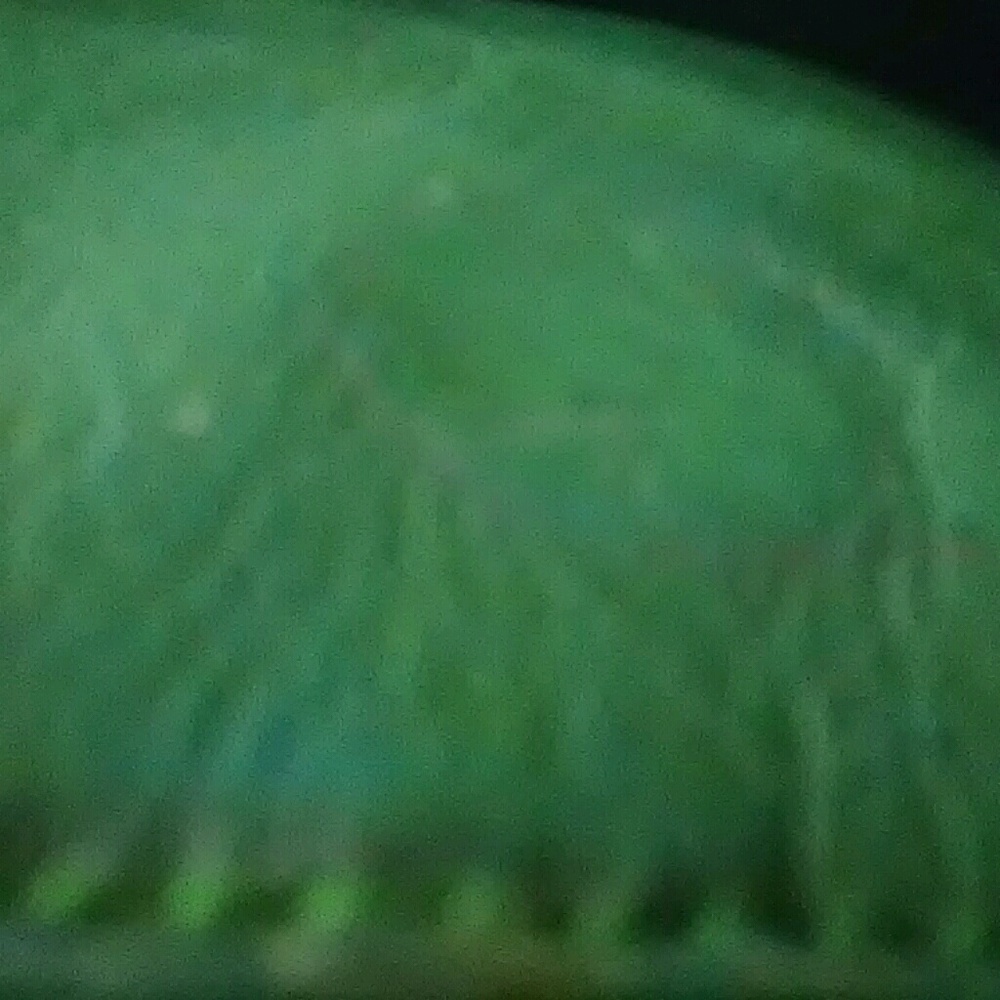 Meet your Posher, Taishia