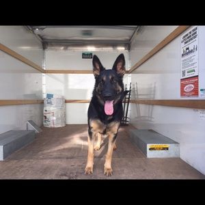 Meet your Posher, Monica