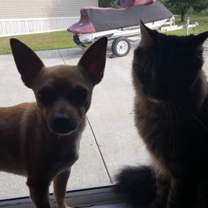 Meet your Posher, Michelle