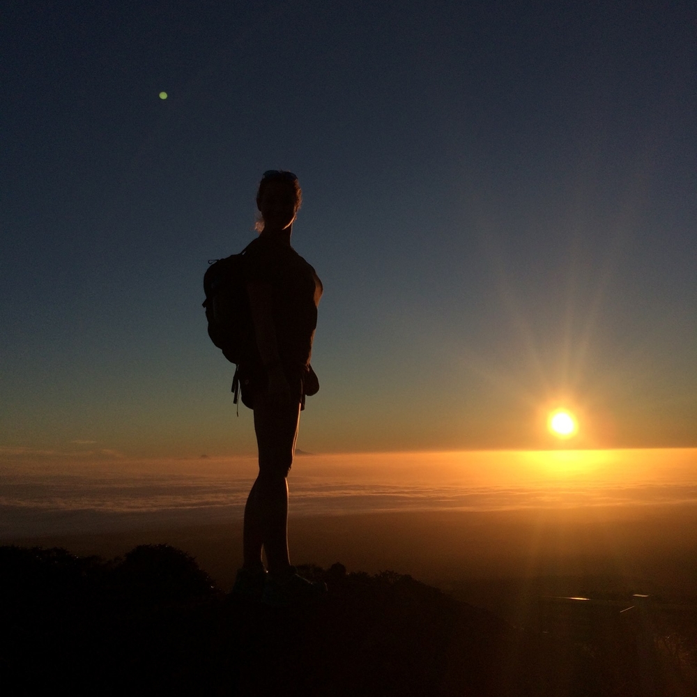 Meet your Posher, Irene