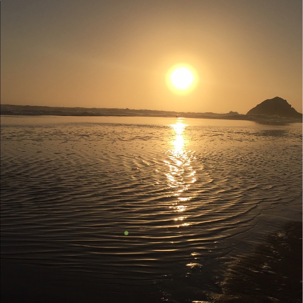 Meet your Posher, Eliza