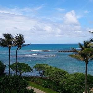 Meet your Posher, Dina