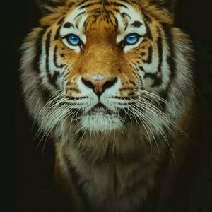 Meet your Posher, Keach