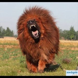 Meet your Posher, Edward