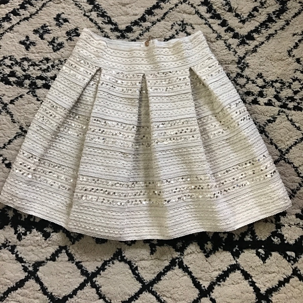 Anthropologie skirt with sequins.
