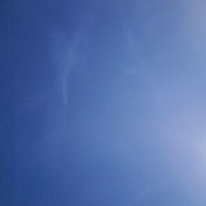 Meet your Posher, Ruba