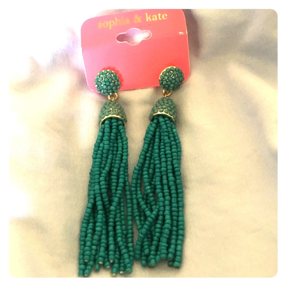 NWT Stunning earrings