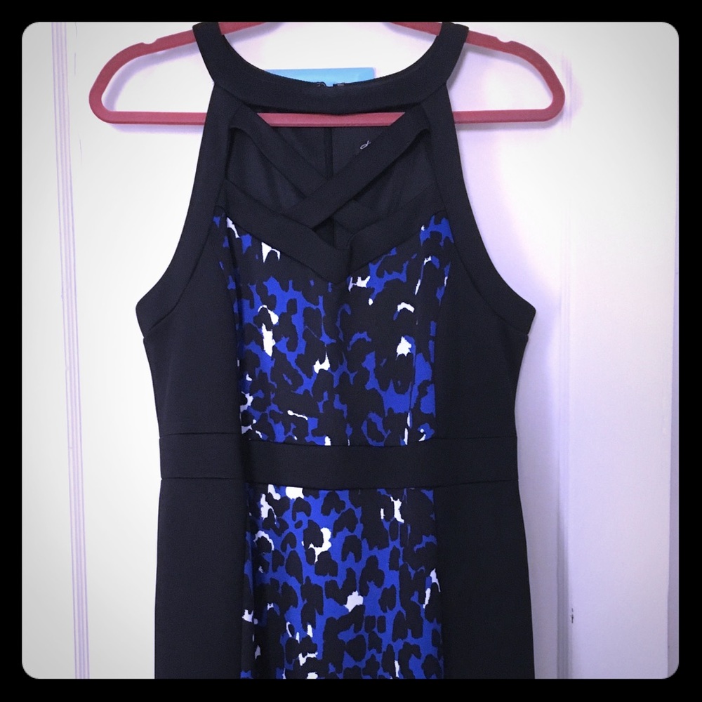 Blue Animal Print Dress