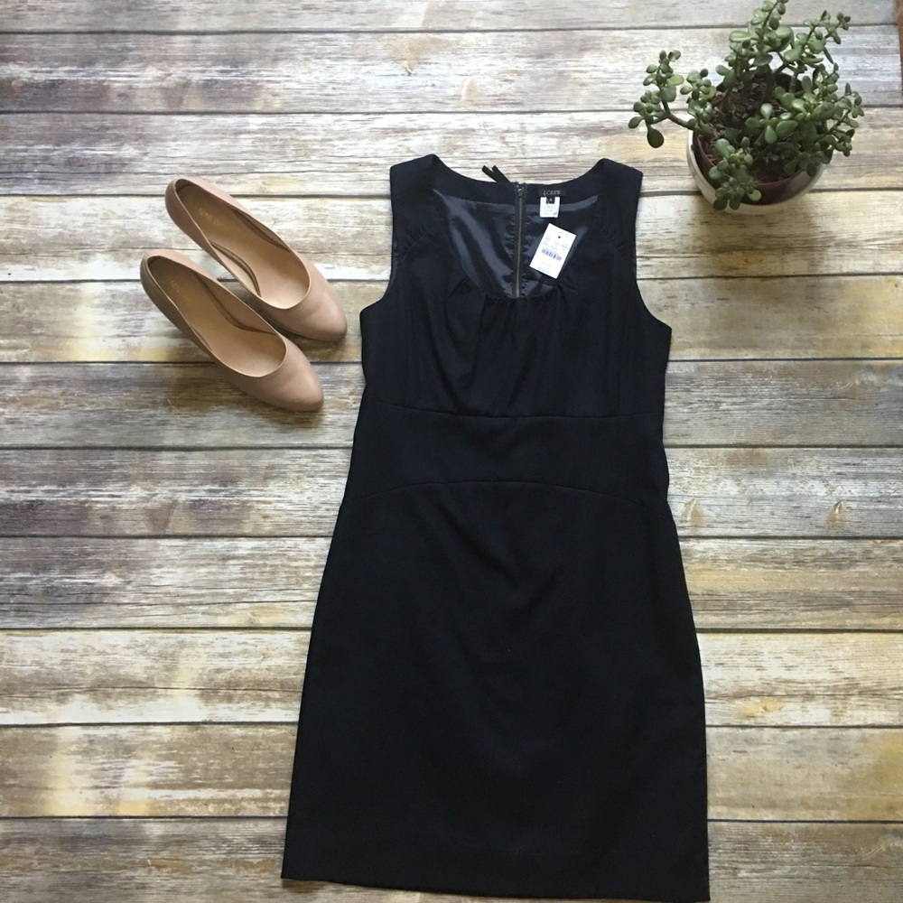 J.Crew Navy Shift Dress in Cotton