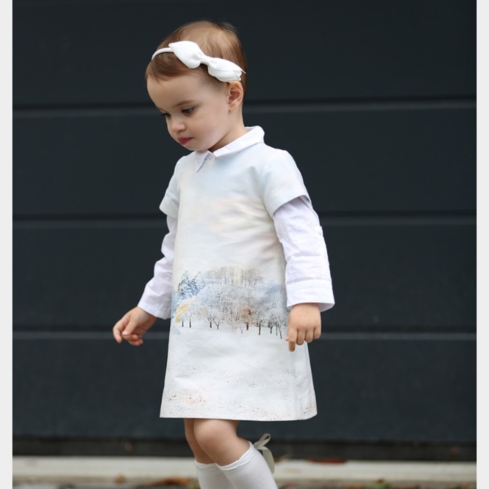 Zara Winter ❄️ Scene Dress Toddler Girl Size 12-18