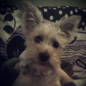 Meet your Posher, Kaley marie