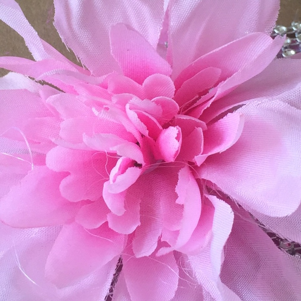 Meet your Posher, Arianna