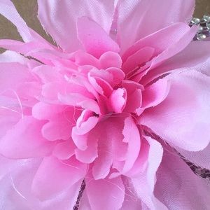 Meet your Posher, Arianna