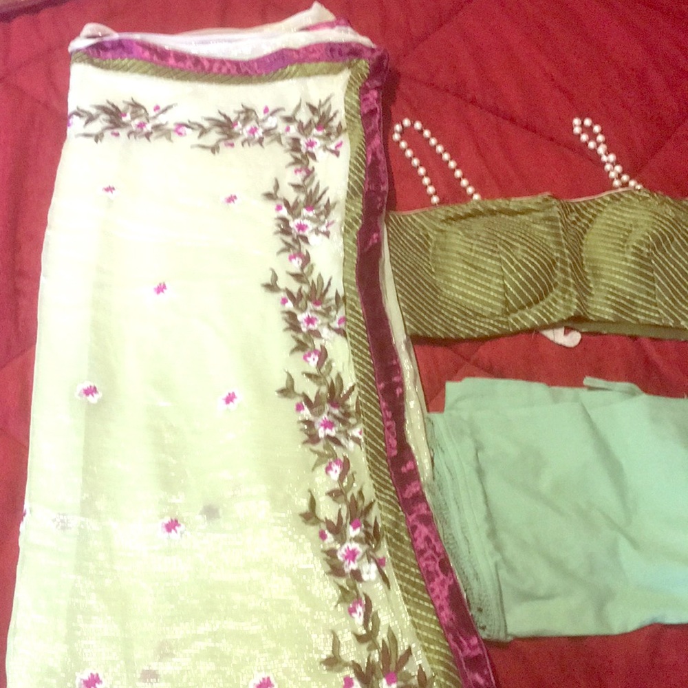 Saree with embroidery with designer blouse.